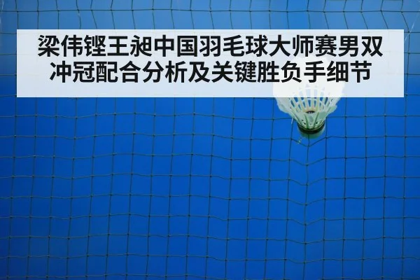 badminton net shot